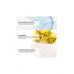 Матирующая пенка для жирной кожи лица с азелаиновой кислотой Dr.Sea Mattifying Hamamelis Facial Foam
