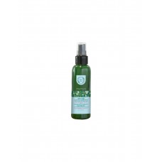Несмываемый кондиционер-спрей для волос Fresh Line Cleo Light Weight Leave-In Conditioner